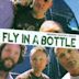 Fly In a Bottle