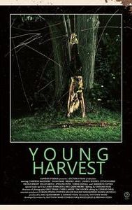 Young Harvest