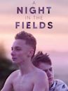 A Night in the Fields