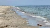 Nearly a Million Dead Fish Wash Up on Louisiana Coast, Commercial Fishing Boats to Blame