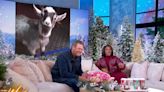 Blake Shelton Surprised Jennifer Hudson's Son with a Goat for Christmas a Few Years Ago