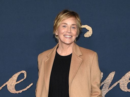 Sharon Stone, 66 ans, somptueuse en bikini : elle dévoile sa silhouette de rêve et son ventre archi plat