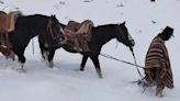 Rescataron en Alta Montaña a un baqueano que había quedado atrapado en la nieve junto a su caballo | Policiales