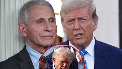 Dr. Fauci Plays Down Donald Trump's Injuries After Attempted Assassination