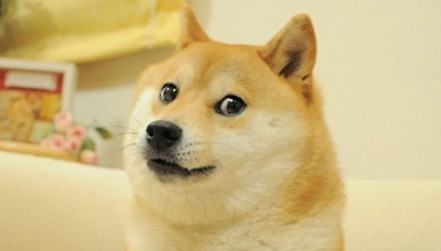 Kabosu, the original face of the Dogecoin (DOGE) meme, has passed away