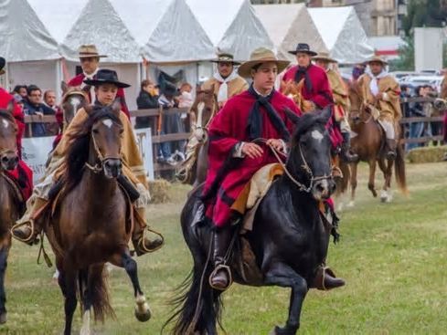 Más de 500 equinos en el 42° concurso de caballos peruanos de paso en Salta