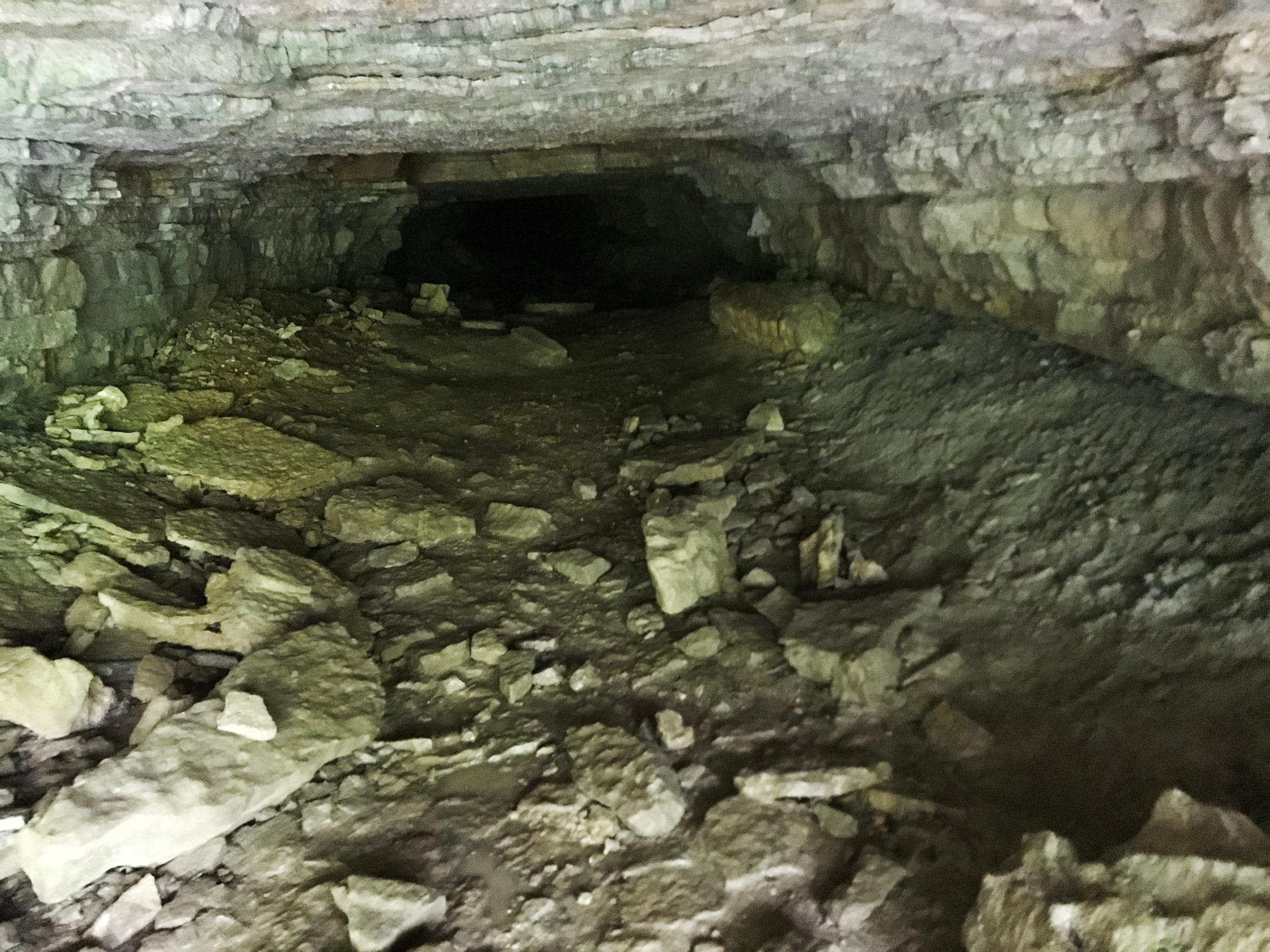 Scrub Hub: Indiana's karst habitat supports unique ecosystem unseen by most Hoosiers