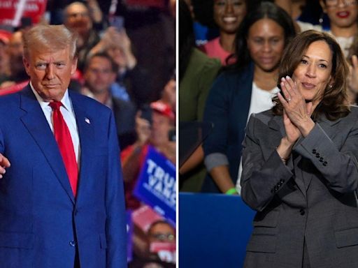 'So Much Projection': Donald Trump Dissed for Claiming Rival Kamala Harris Was Born 'Mentally Impaired' at Wisconsin Rally