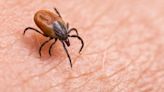 First travel-related death from rare tick-borne virus recorded in Maryland, health official says