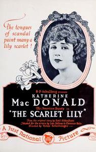 The Scarlet Lily