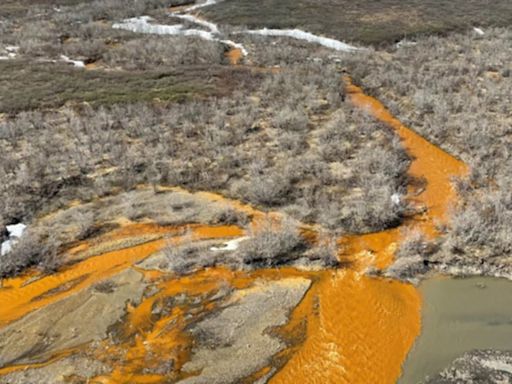 El cambio climático tiñe de naranja los ríos de Alaska y amenaza el ecosistema acuático