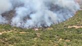 Wildfires across Tjentište endanger Bosnia's oldest national park as blaze in Albania persists