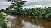 Agricultores de Chiapas piden declaratoria de desastre tras inundaciones