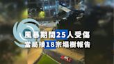 風暴期間25人受傷 當局收到18宗塌樹報告