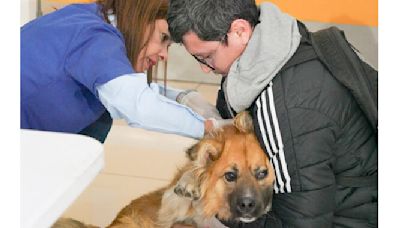 Operativo canino atendió a 120 mascotas