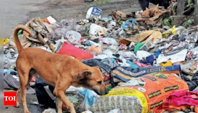 Danger lurks at dumps, hungry packs target kids | Hyderabad News - Times of India