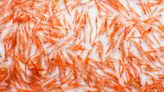 Krill Oil Fails in New Osteoarthritis Trial