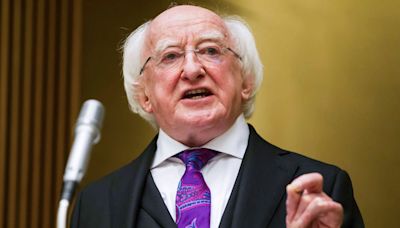 President Higgins condemns "censorship" attempts by far-right groups targeting libraries