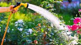 Best time to water garden plants to keep them thriving - not always the morning