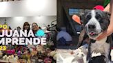 Expo Tijuana Emprende 2023 ayudará a niños sin hogar y mascotas, ¡y tú puedes sumarte a la causa!