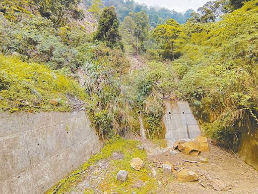 阿里山林鐵建光纖網路 監測路況