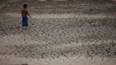 Amazon River falls to lowest in over a century amid Brazil drought