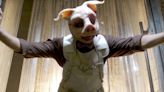 Professor Pyg Movie: Is Matt Reeves Making a DCU Pig Film?