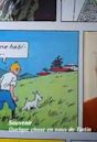 Quelque chose en nous... de Tintin