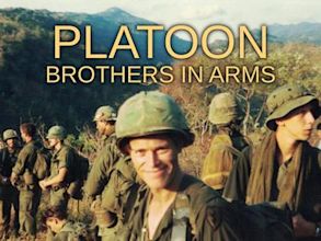 Platoon: Brothers in Arms