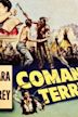 Comanche Territory (1950 film)