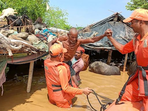 Bihar Flood Crisis: Urgent Rescue Operations In Darbhanga District After Kamla Balan River Overflows