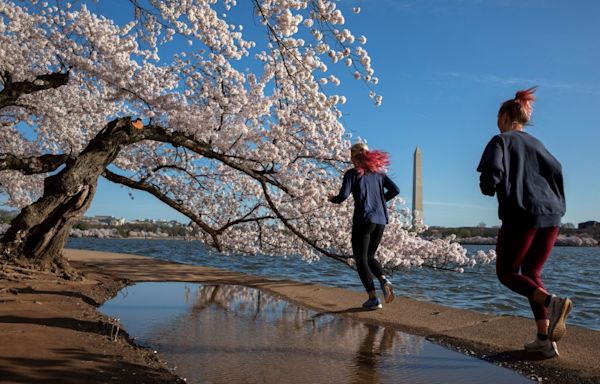 National Women’s Half Marathon to close District roads Sunday morning