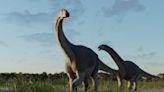 Nueva especie de dinosaurio descubierta en Argentina