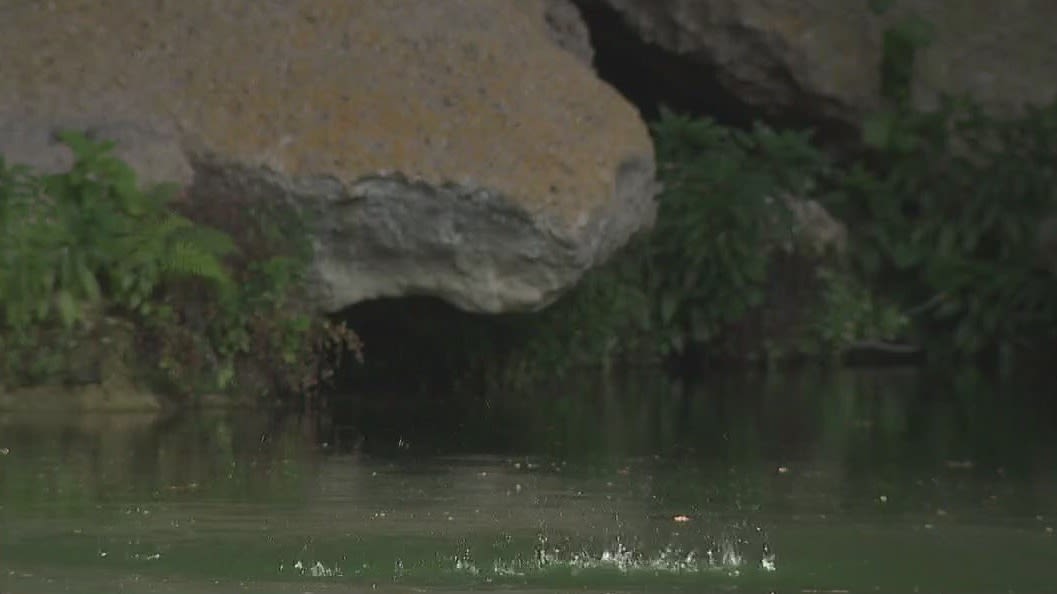 Hamilton Pool visitors frustrated with closed swimming areas