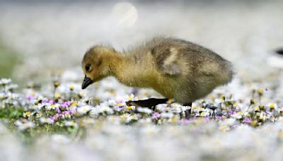 DWD: Bis zu 25 Grad am Wochenende