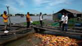 How dams built by China starve the Mekong River Delta of vital sediment