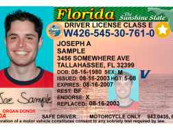 REAL ID deadline moving closer. 14 things you need to know to get your Florida license