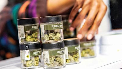 Crece respaldo de la DEA a uso médico de cannabis