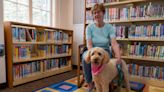 Meet Ceili, Cutchogue-New Suffolk Free Library’s therapy dog - The Suffolk Times
