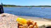 Every day is fried clam day on Cape Cod. Here's what to know to enjoy clams like a native.