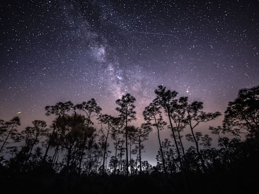 How to Catch the Eta Aquarids Meteor Shower, Leftover Debris from Halley's Comet