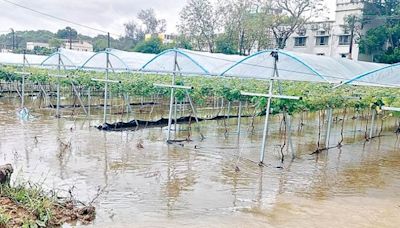 打鼓嶺農場水浸 證北都基建須加快