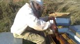 Ángel Bergua, apicultor: "Las colmenas son uno más de casa"
