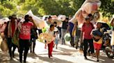 Procuraduría exigió al Gobierno garantizar la protección de 40 familias de firmantes de paz desplazadas en Caquetá