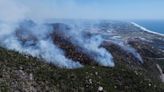 Hay 116 incendios forestales activos en México