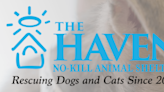 Next Home Gulf Coast Living to host community event helping no-kill shelter