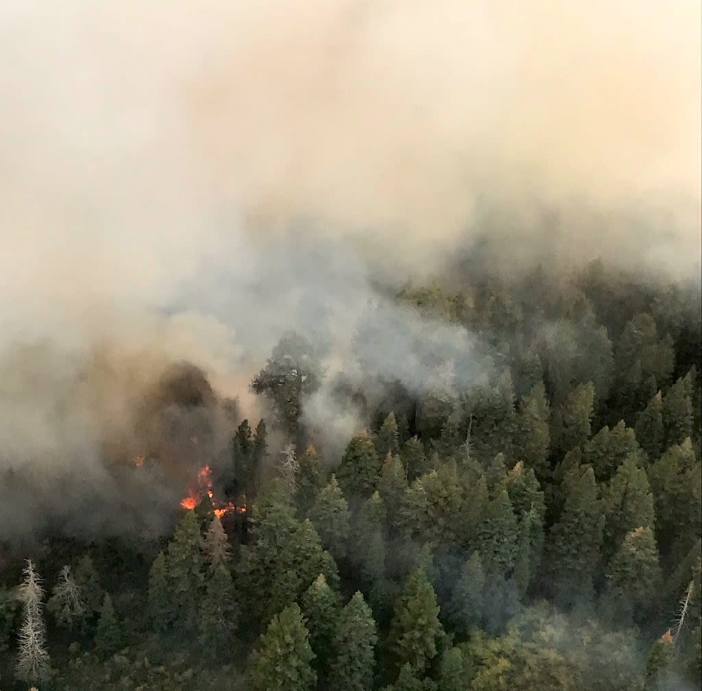 Rosen, Cortez Masto announce over $3.5 Million in funds for wildfire resilience in Nevada