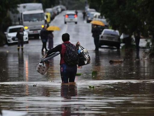 Chuvas no RS: moradores de Lajeado correm contra o tempo para salvar pertences e animais
