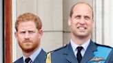 Harry Shut Down William Meeting With A 'Blunt Two-Word Response'