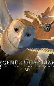 Legend of the Guardians: The Owls of Ga'Hoole 3D